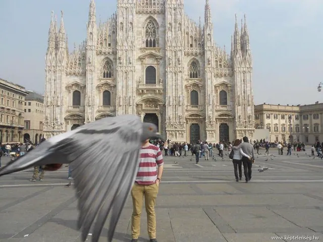 Thumbnail 12