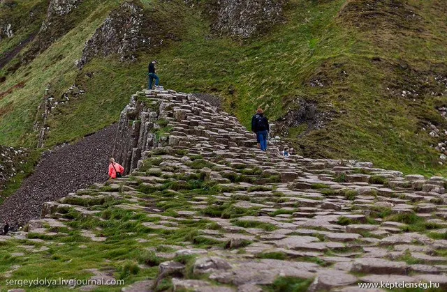 Thumbnail 21