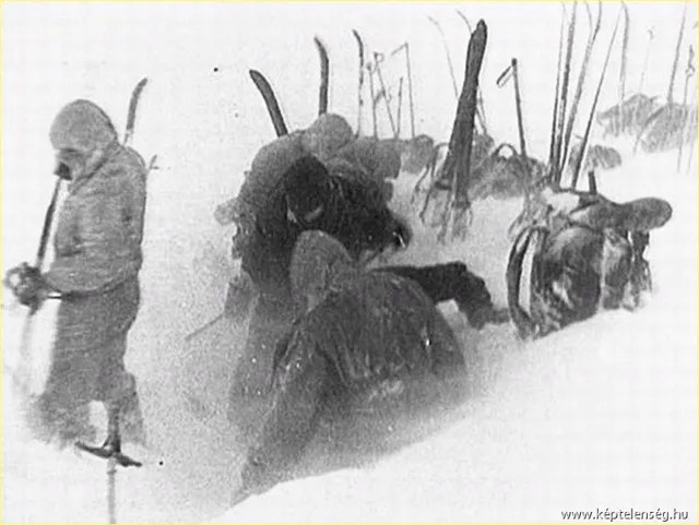 Thumbnail 13