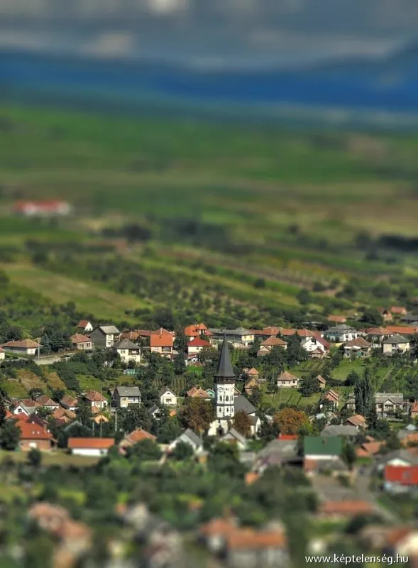 Néhány a fotóim közül