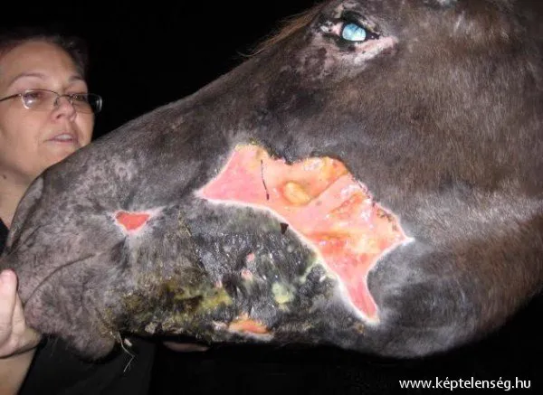 Thumbnail 26