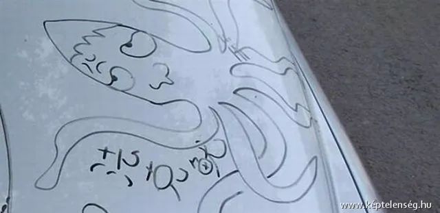 Thumbnail 19