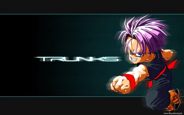 Thumbnail 13