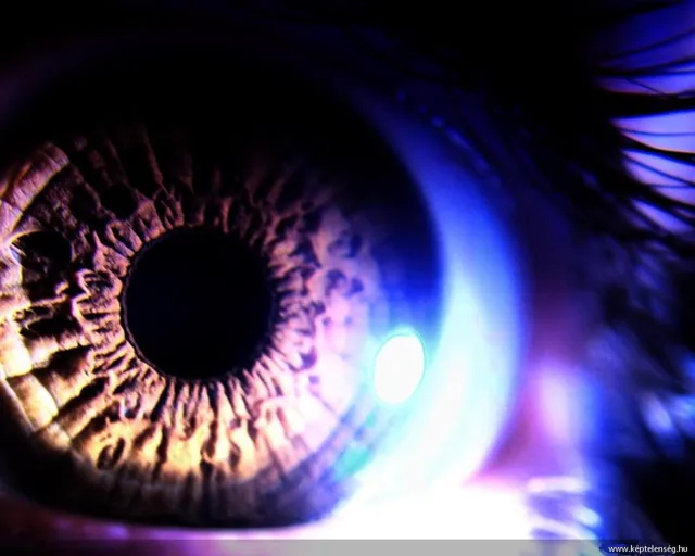 Thumbnail 12