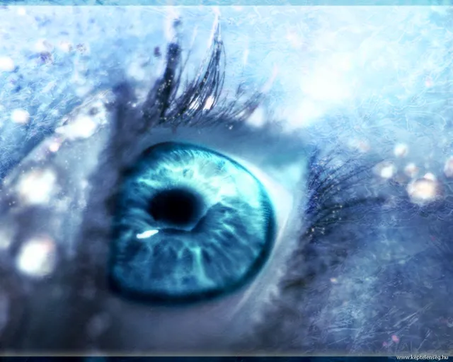 Thumbnail 17