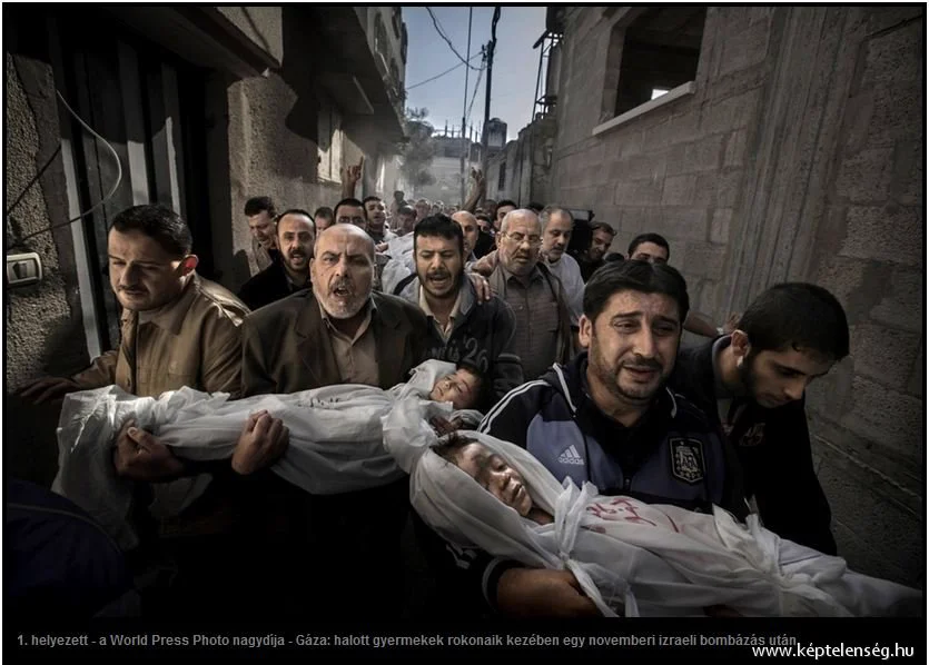 World Press Photo: az év legjobb képei - 1
