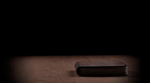 Thumbnail 31