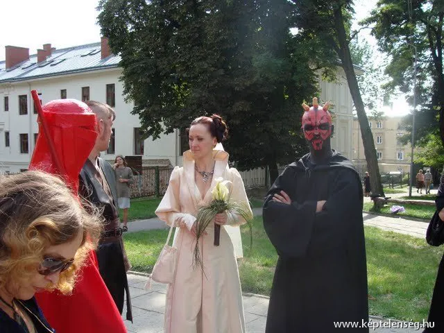 Thumbnail 31