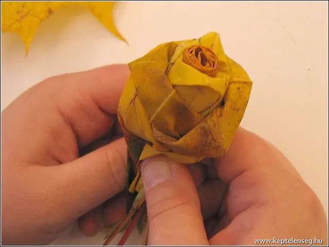 Thumbnail 11