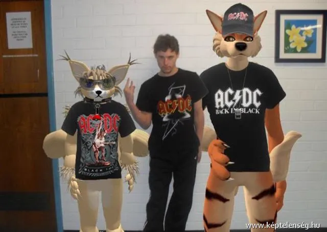 Thumbnail 11