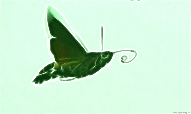 Thumbnail 11
