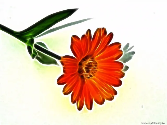 Thumbnail 14