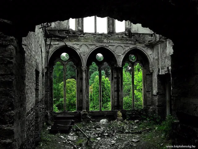 Thumbnail 27