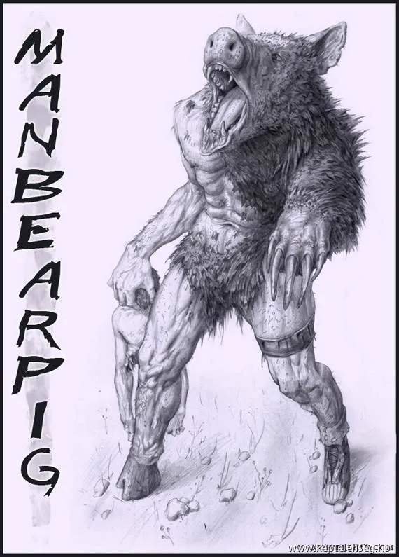 Thumbnail 14