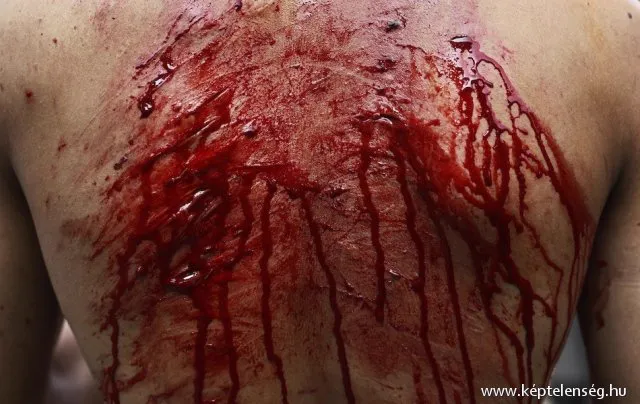 Thumbnail 24