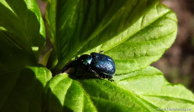 Thumbnail 37