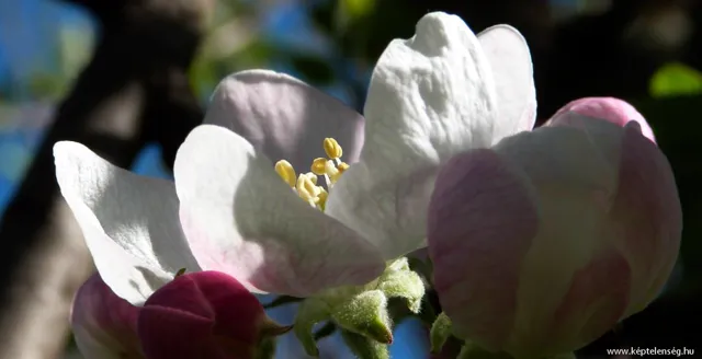 Thumbnail 15