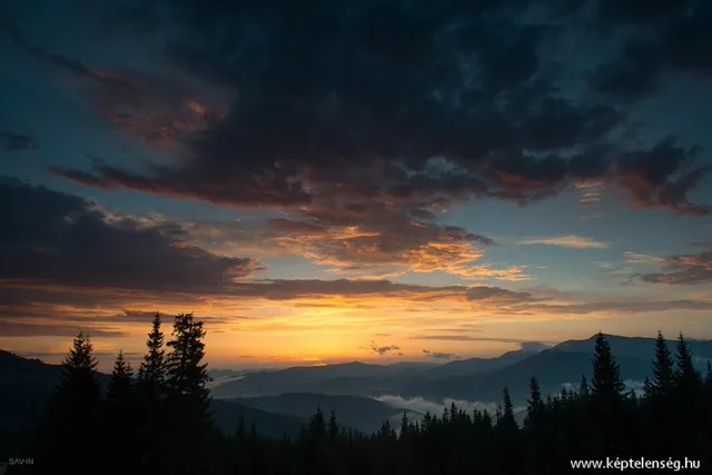 Thumbnail 28