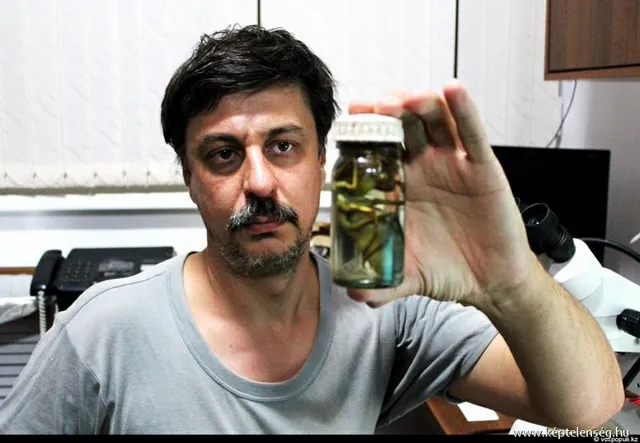 Thumbnail 5