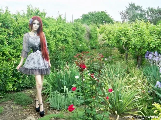Thumbnail 6