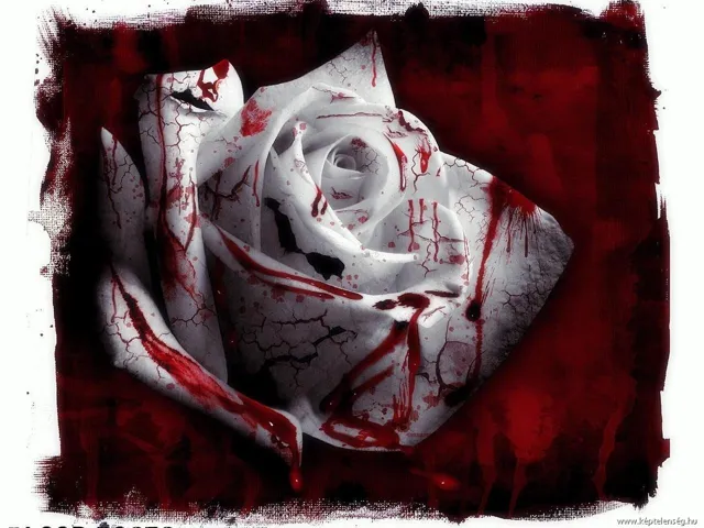 Thumbnail 28