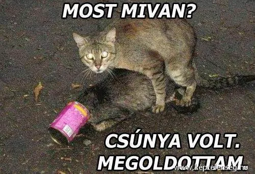 Thumbnail 43
