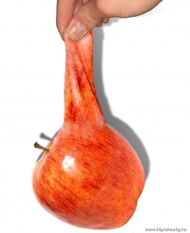 Thumbnail 30