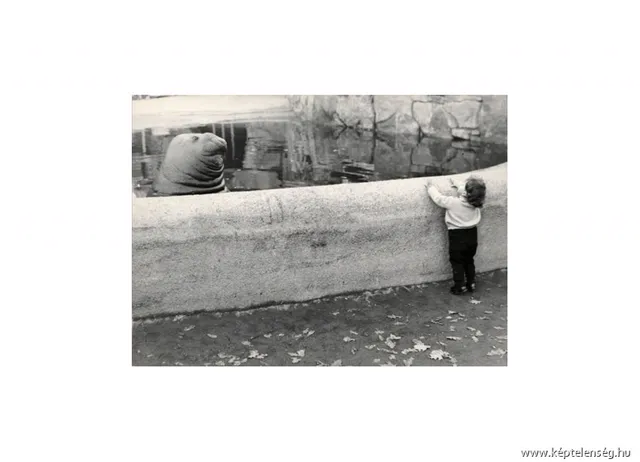 Thumbnail 28