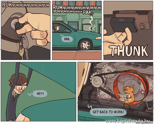 Thumbnail 37