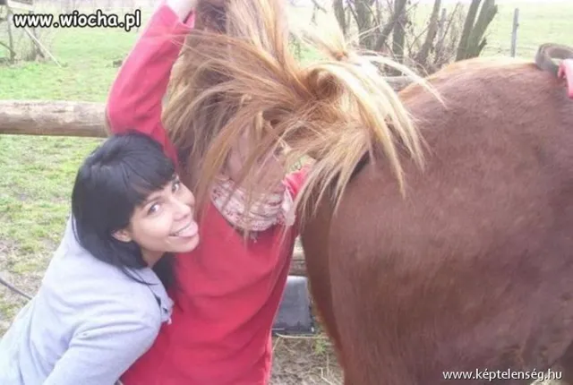Thumbnail 21