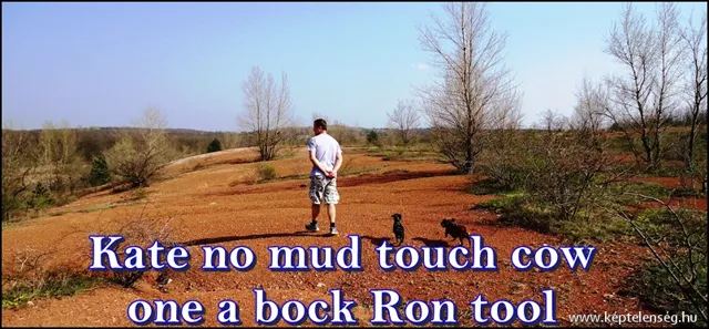 Thumbnail 15