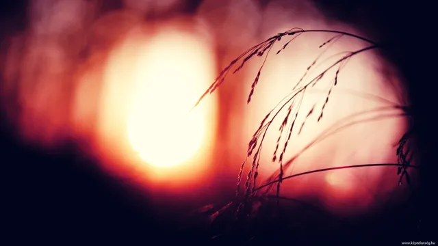 Thumbnail 24